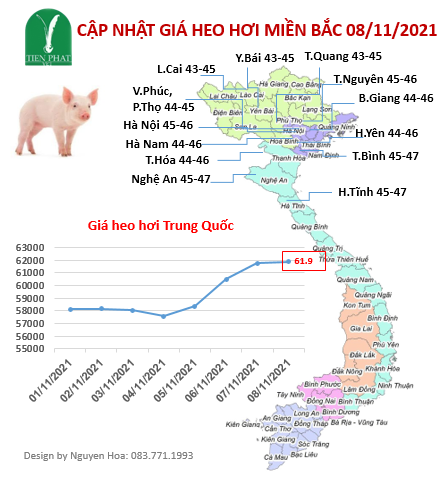 gia-ca-thi-truong-tuan-45-01-11-08-11-2021 gia-ca-thi-truong-tuan-45-01-11-08-11-2021