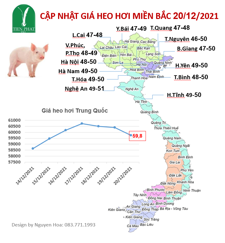 gia-ca-thi-truong-tuan-51-14-12-20-12-2021 gia-ca-thi-truong-tuan-51-14-12-20-12-2021