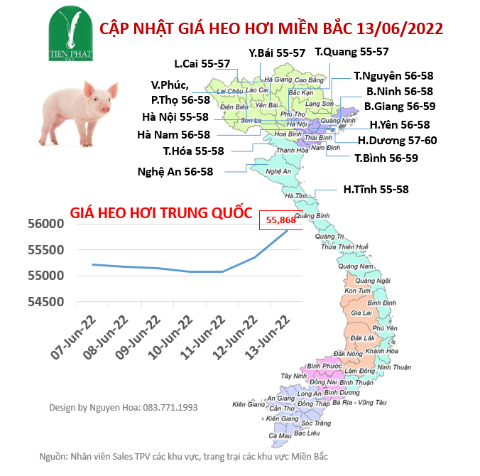 gia-ca-thi-truong-tuan-24-07-06-2022-13-06-2022 gia-ca-thi-truong-tuan-24-07-06-2022-13-06-2022