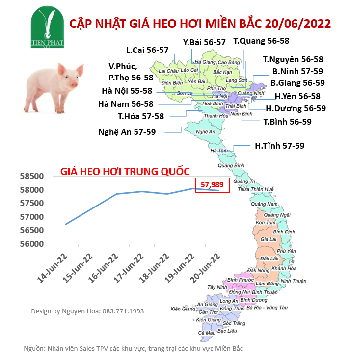 gia-ca-thi-truong-tuan-25-14-06-2022-20-06-2022