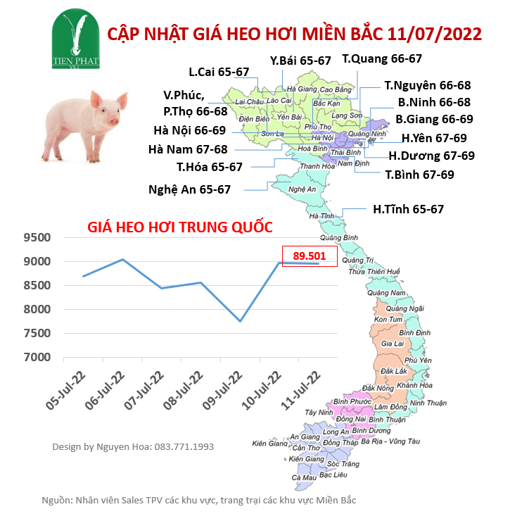 gia-ca-thi-truong-tuan-28-05-07-2022-11-07-2022