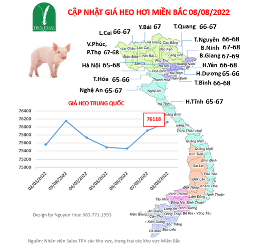 gia-ca-thi-truong-tuan-32-02-08-2022-08-08-2022