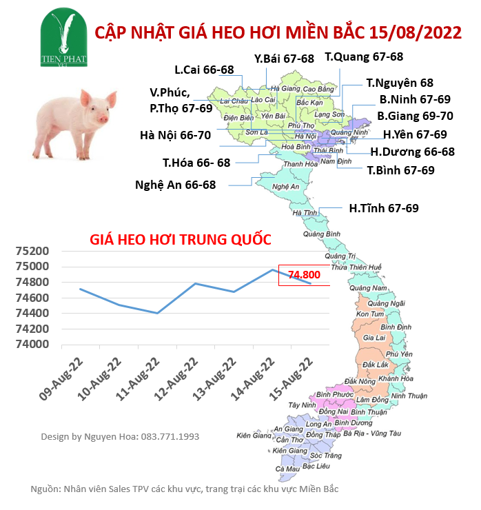 gia-ca-thi-truong-tuan-33-09-08-2022-15-08-2022