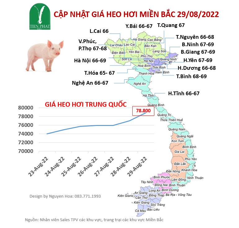 gia-ca-thi-truong-tuan-35-23-08-2022-29-08-2022 gia-ca-thi-truong-tuan-35-23-08-2022-29-08-2022