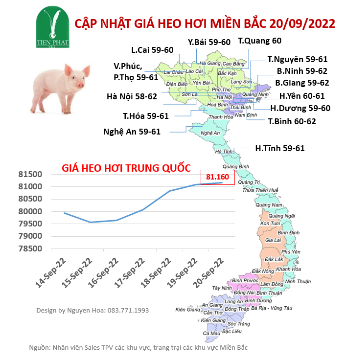 gia-ca-thi-truong-tuan-38-14-08-2022-20-09-2022 gia-ca-thi-truong-tuan-38-14-08-2022-20-09-2022
