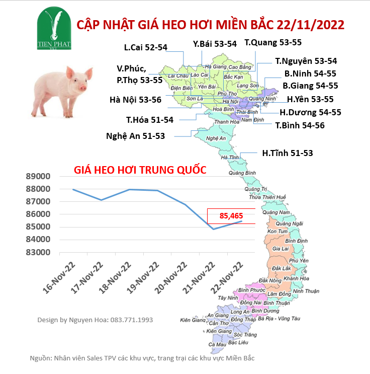 gia-ca-thi-truong-tuan-47-16-11-22-11-2022 gia-ca-thi-truong-tuan-47-16-11-22-11-2022
