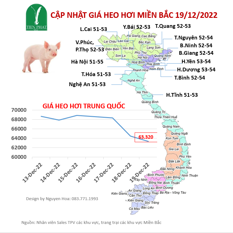 gia-ca-thi-truong-tuan-51-13-11-19-12-2022