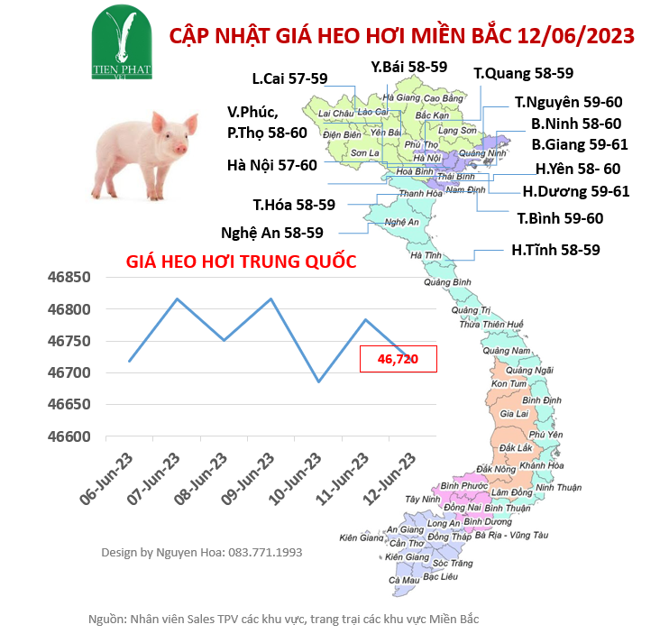 gia-ca-thi-truong-tuan-23-06-06-12-06-2023