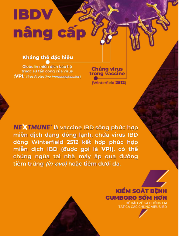 cap-nhat-gia-thi-truong-cac-san-pham-gia-cam-khu-vuc-mien-bac-ngay-tu-16-8-24-08-2024 cap-nhat-gia-thi-truong-cac-san-pham-gia-cam-khu-vuc-mien-bac-ngay-tu-16-8-24-08-2024